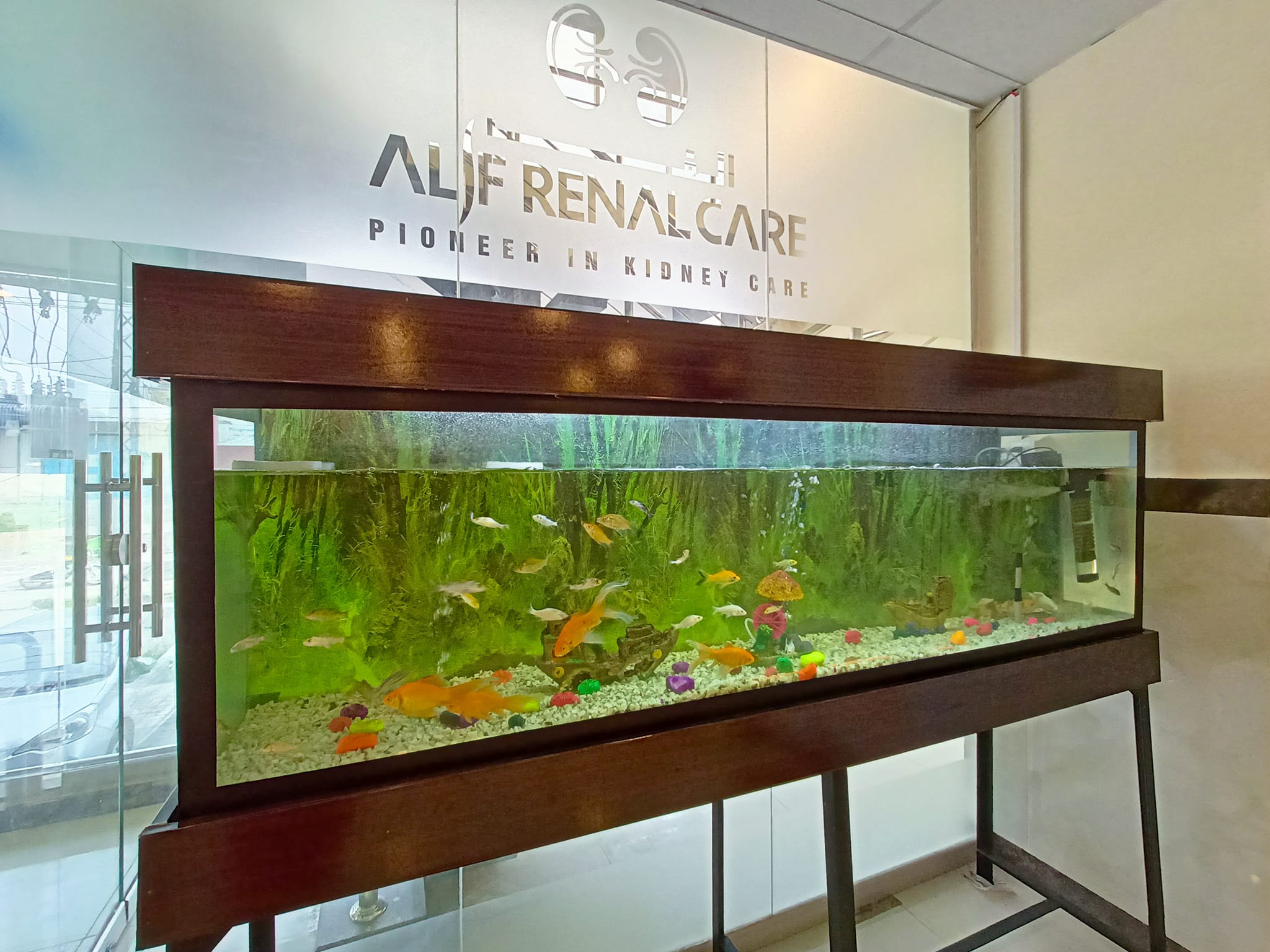 Alif renal care